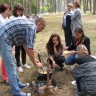 IMG_6796 копия